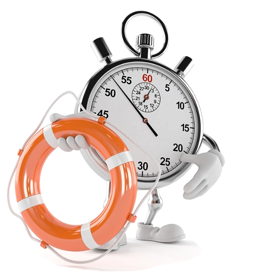 Quick Mascot Life Ring