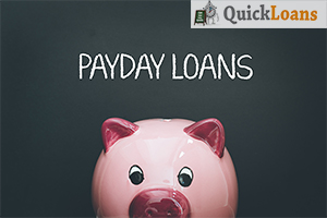 Payday Loans License